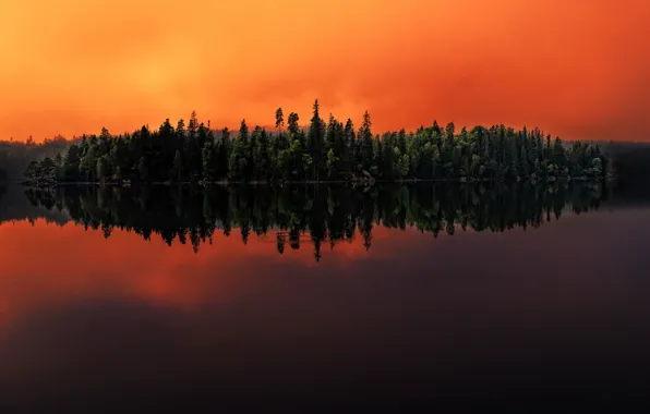 Forest, lake, reflection, Sweden, Sweden