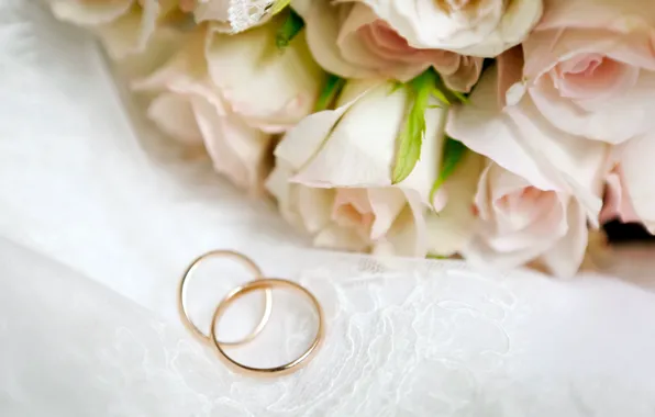 Flowers, roses, flowers, engagement rings, roses, wedding rings