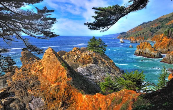 Picture sea, the sky, trees, rocks, CA, USA