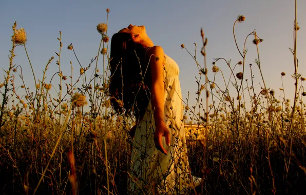 Picture grass, sunlight, dress