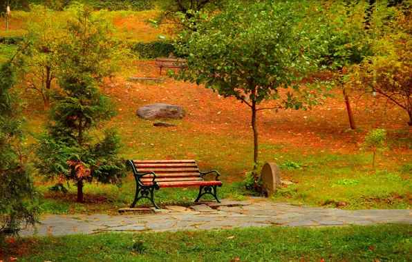Picture Autumn, Bench, Park, Fall, Park, Autumn, Colors