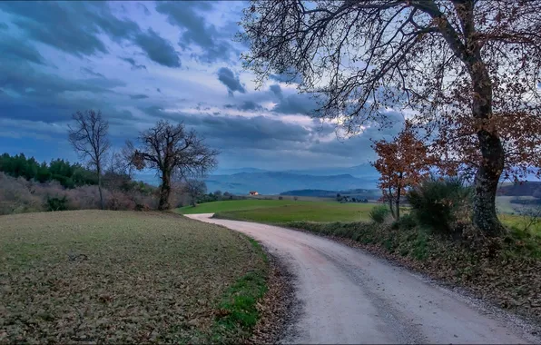 Picture landscape, Italy, way, scenery, strada