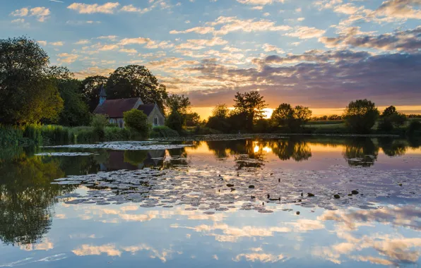 Picture the sky, leaves, trees, lake, pond, reflection, home, the evening