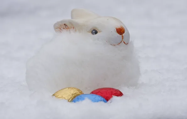 Hare, eggs, rabbit, Easter, fur