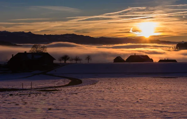 Winter, road, field, fog, home, morning