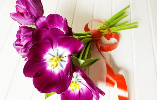 Picture flowers, bouquet, tape, tulips, tulips, purple