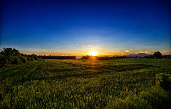 Field, sunset, Austria, Austria, Carinthia, Carinthia
