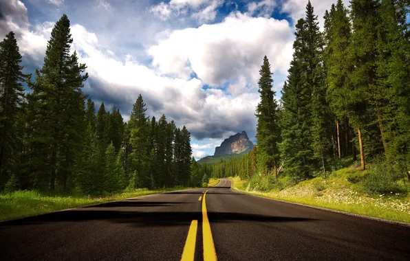 Forest, trees, mountains, markup, Road