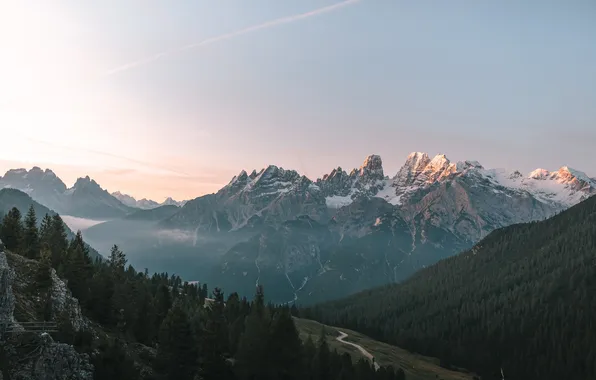 Forest, trees, mountains, nature, rocks, Italy, Dolomites, Fanes-Sennes-Prags Nature Park