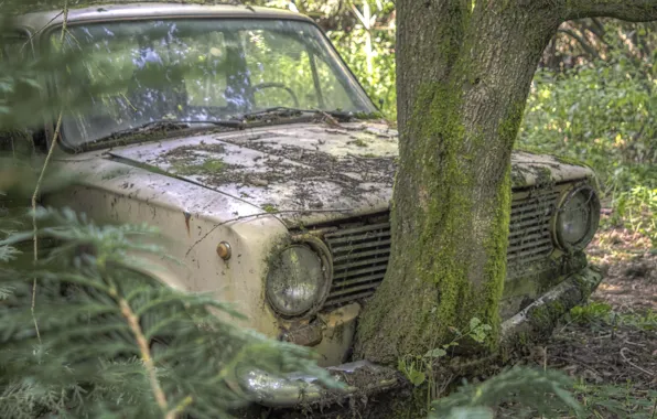 Forest, Penny, VAZ-2101, abandoned car