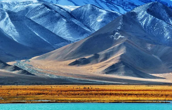 Picture snow, mountains, lake, Pamir