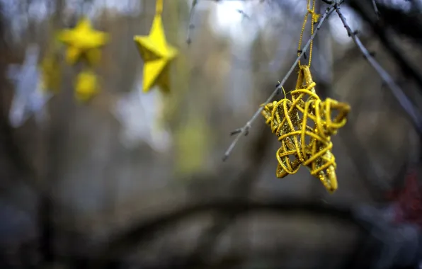 Picture macro, holiday, Stars