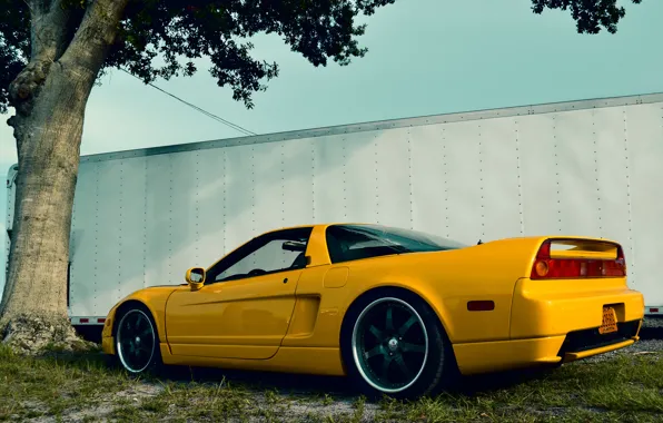 Picture Grass, Tree, Yellow, Back, Acura, NSX