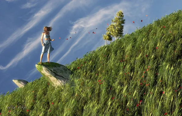 Grass, girl, nature, rock, the wind, stone, Maki, petals
