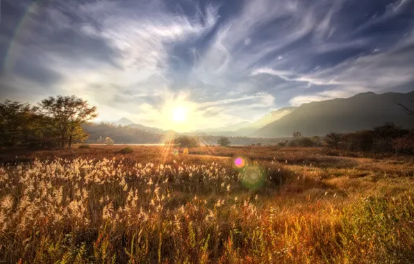 Picture field, the sun, rays, trees, mountains, glare