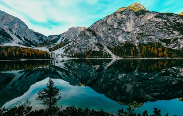 Picture autumn, forest, the sky, mountains, reflection, rocks, shore, tops