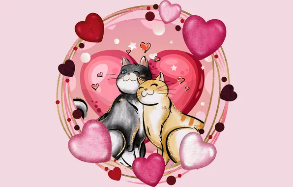Cat, cat, love, line, cats, pose, grey, together