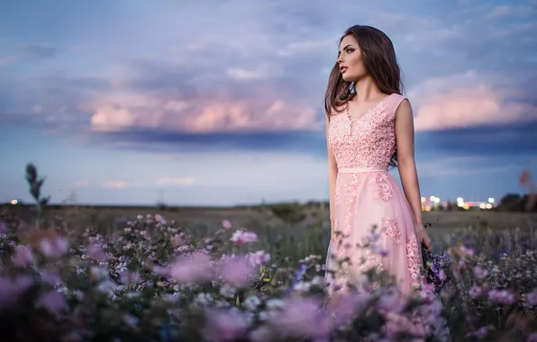 Picture field, the sky, girl, flowers, pose, mood, dress, beautiful