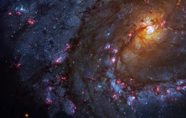 Picture constellation, spiral galaxy, M83, Hydra