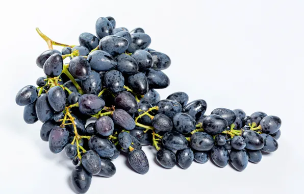 Picture grapes, bunch, light background