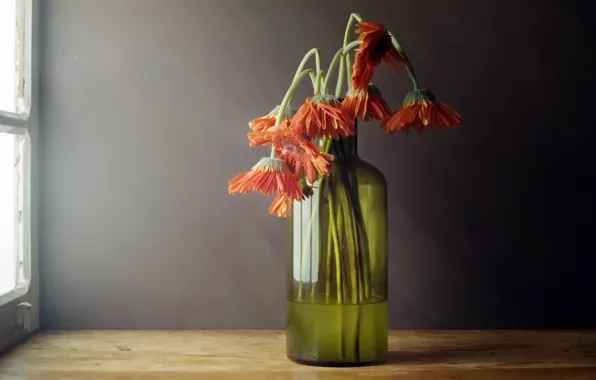 Flowers, background, bottle