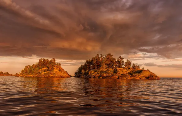 Autumn, forest, trees, rocks, island, pond