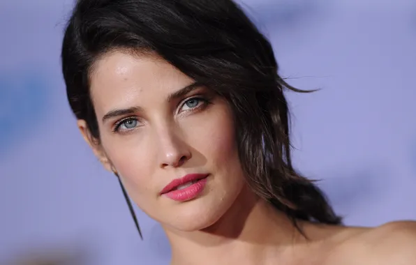 Look, pose, portrait, makeup, actress, hair, Cobie Smulders, Cobie Smulders