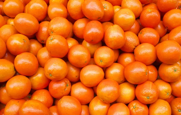Oranges, fruit, fresh, orange, fruits