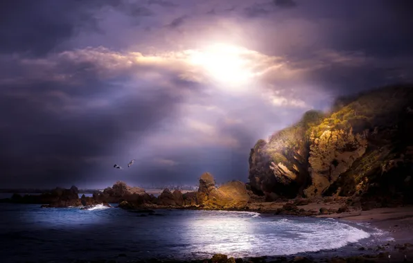 Sea, the sun, light, rocks, shore, seagulls