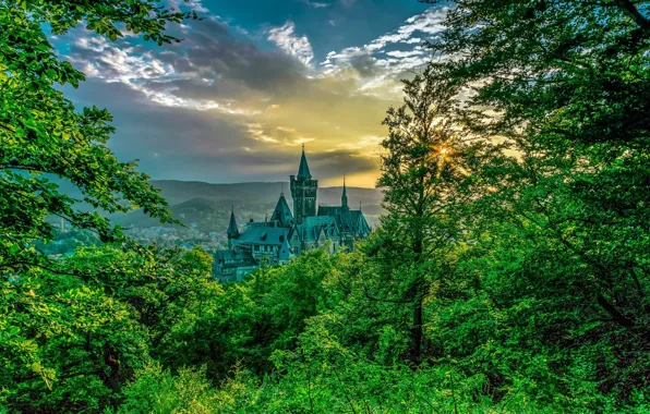 Picture trees, castle, Germany, Wernigerode, Wernigerode Castle