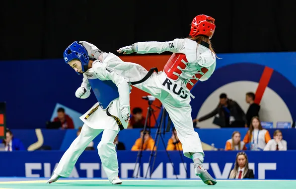 Blow, Yuri Lomakin, Taekwondo