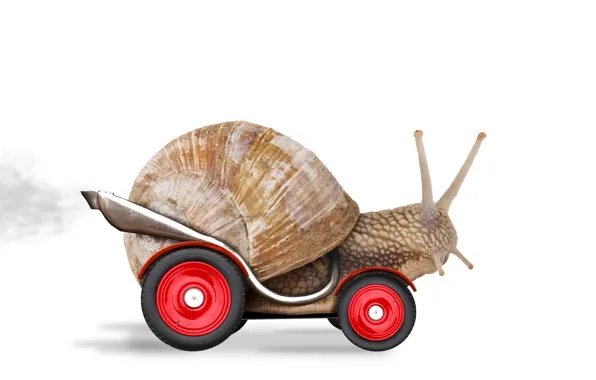 Orange, creative, race, snail, wheel, turbo, slug