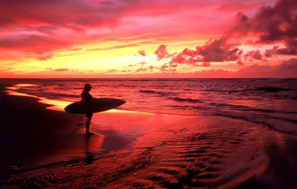Sea, sunset, red, surfer