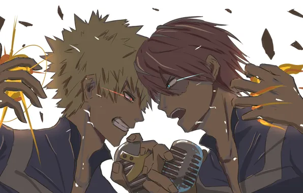 My Hero Academia, Boku No Hero Academy, Todoroki Shoto, My Hero Academy, Bakuga Katsuki