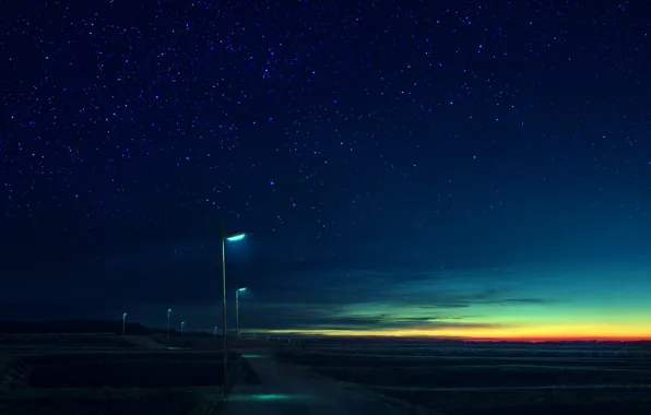 Road, night, lights