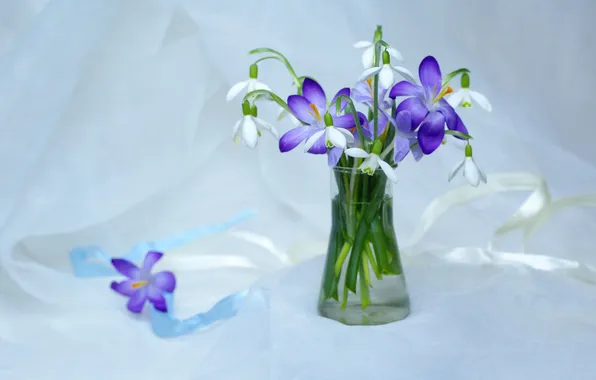 Flowers, bouquet, spring, snowdrops, crocuses