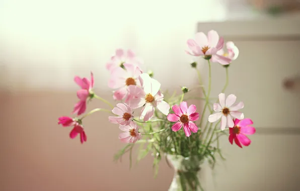 Light, flowers, background