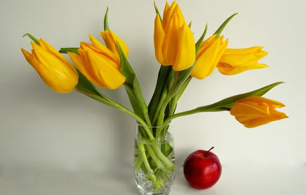 Picture Apple, tulips, vase, still life