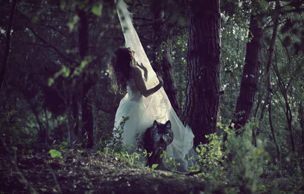 Forest, girl, wolf