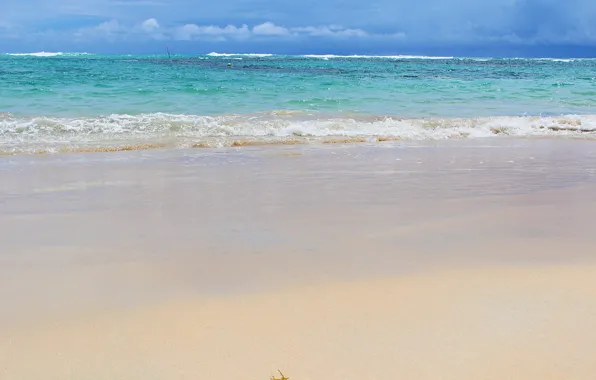 The ocean, Dominican Republic, Dominican Republic