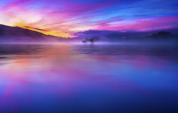 Picture Japan, Sky, Beautiful, Wood, Blue, Tree, Water, Sunrise