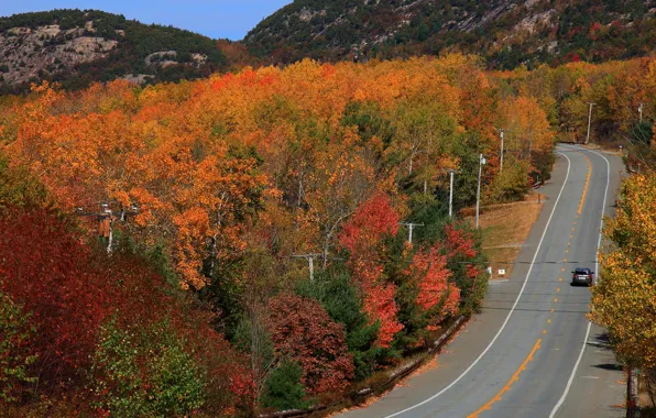 Road, auto, autumn, forest, the sun, trees, mountains, highway