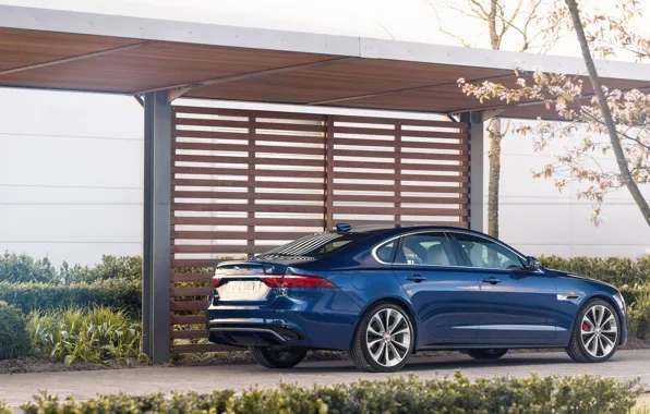 Blue, Jaguar, sedan, four-door, Jaguar XF, 2020, XF