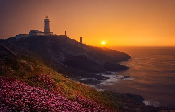 Sea, the sky, the sun, sunset, flowers, fog, rocks, shore