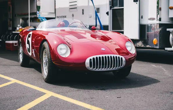 Picture Maserati, sports, the front, 300S