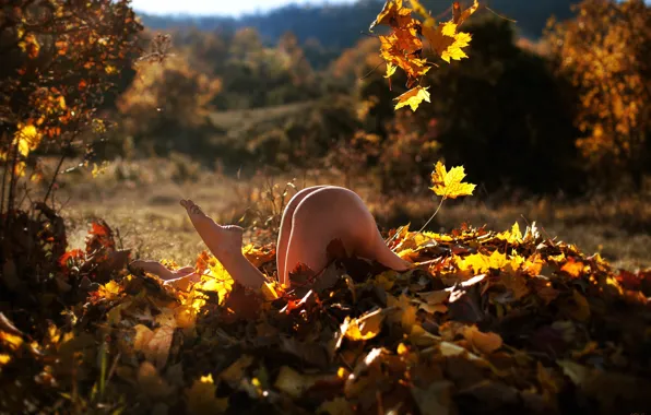 Autumn, ass, leaves, girl, the sun, trees, nature, pose