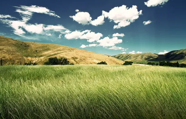Picture the sky, grass, clouds, landscape, hills, meadow, ears