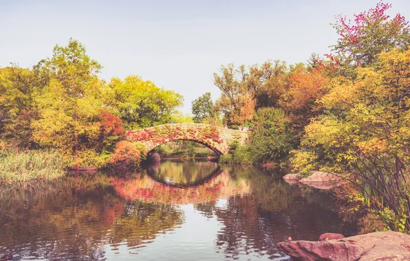 Autumn, leaves, trees, lake, reflection, people, New York, mirror