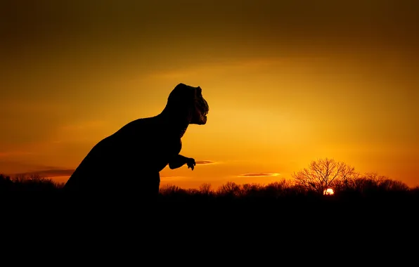 Picture the sky, sunset, dinosaur, T-Rex, Tyrannosaurus, Tyrannosaurus