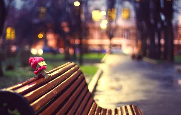 The evening, Photo, The city, Trees, Bench, Hat, Alley, Danbo